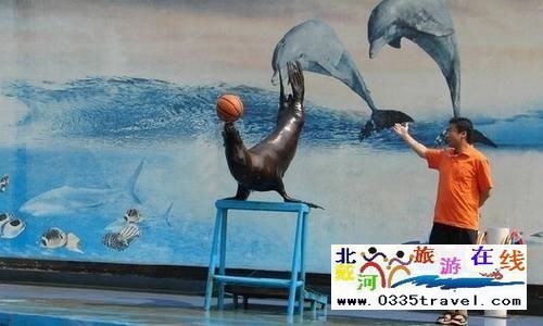 秦皇島新澳海底世界