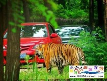 秦皇島野生動物園景點(diǎn)門票優(yōu)惠88元起團(tuán)，一人也成團(tuán)，團(tuán)隊(duì)更優(yōu)惠，咨詢電話0335-3522599: