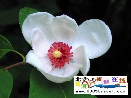 秦皇島祖山景區(qū)