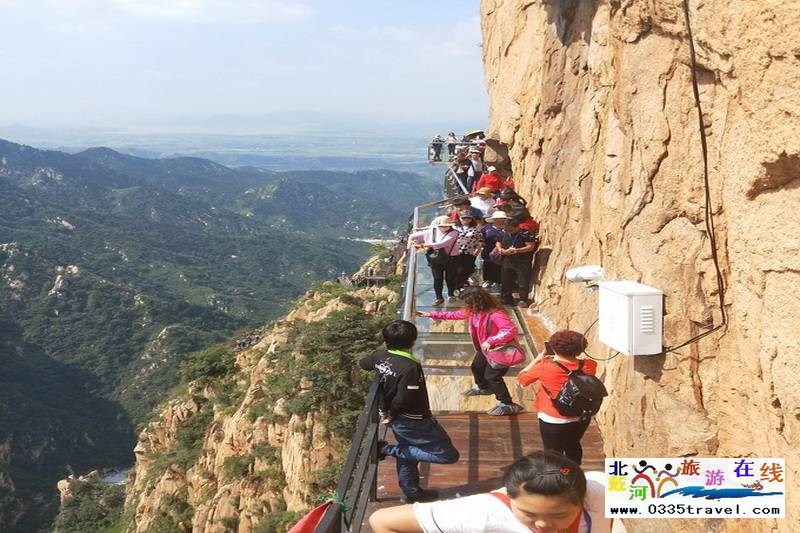 秦皇島龍?jiān)乒龋∩叫闼┚皡^(qū)電話18633570222  15703350808