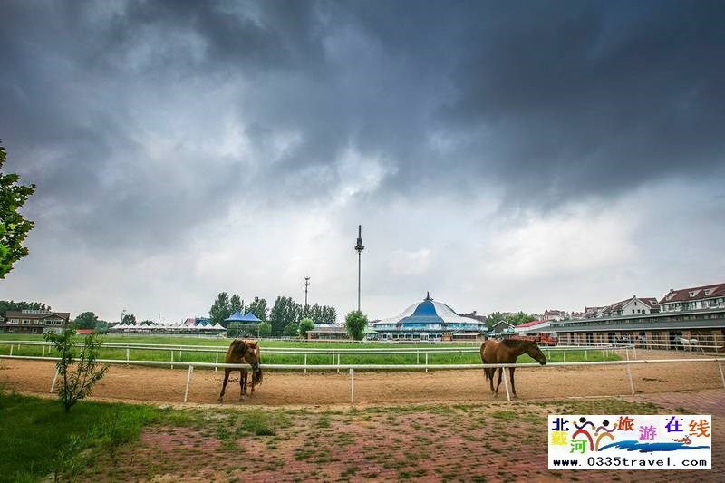 北戴河英倫國(guó)際馬術(shù)俱樂(lè)部