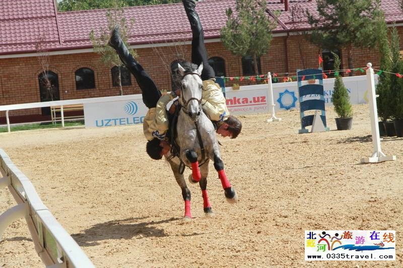 北戴河英倫國(guó)際馬術(shù)俱樂(lè)部