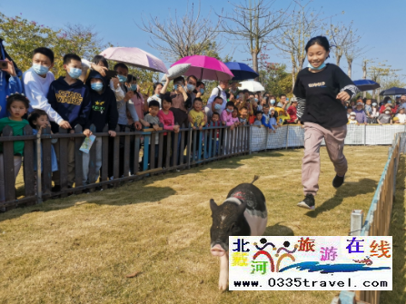 秦皇島花西兔窩窩親子樂(lè)園電話18633570222