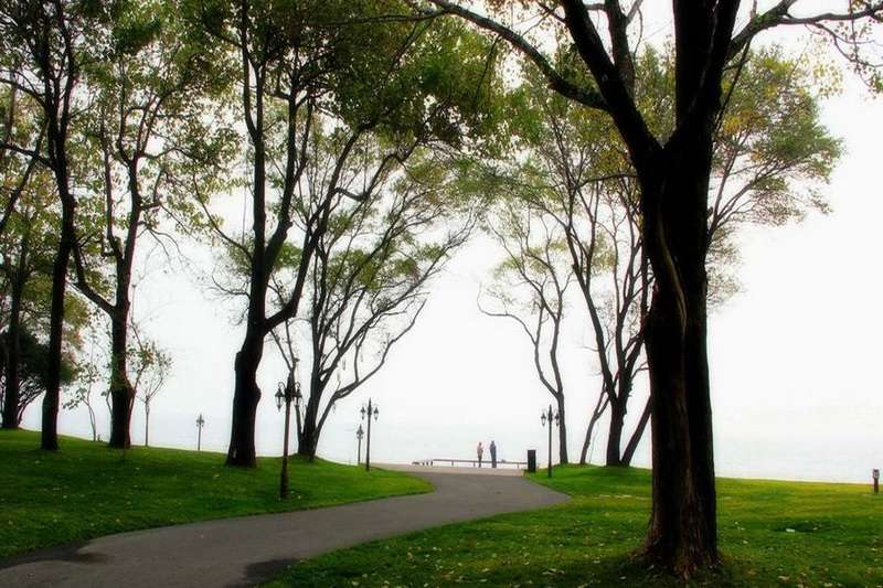 秦皇島北戴河草坪教堂高端婚禮現(xiàn)場推薦：秦皇島西港花園——海誓花園18633570222